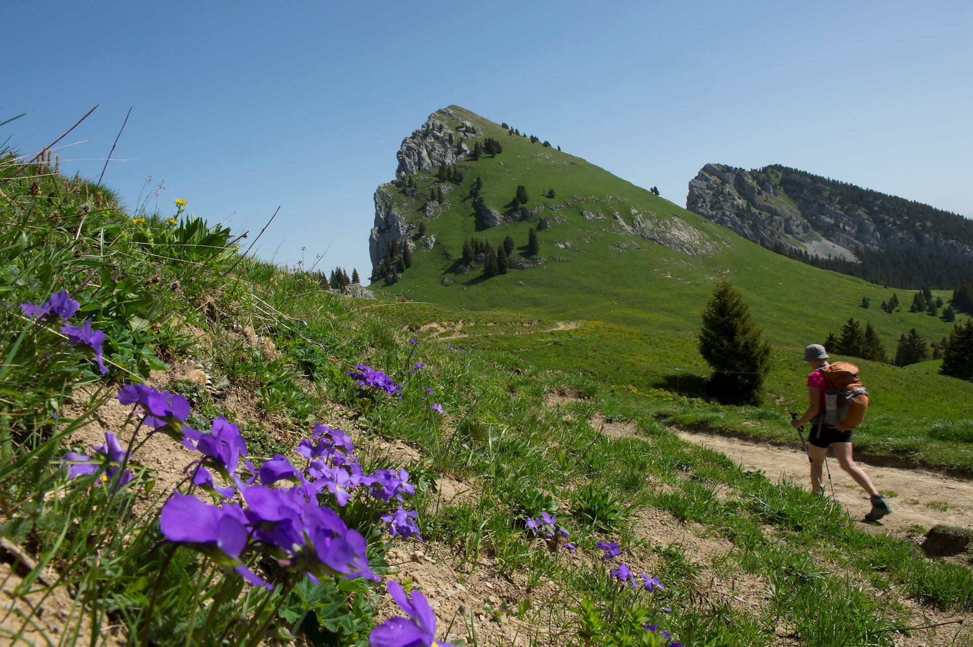 Gilles LANSARD - HEMIS - Plateau des Glières